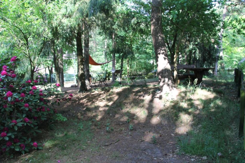 Ferienhaus Am Waldesrand Hatten Bagian luar foto
