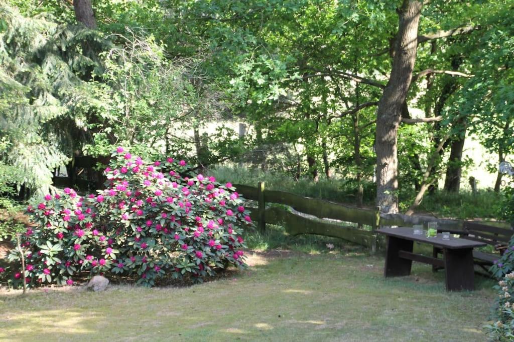 Ferienhaus Am Waldesrand Hatten Bagian luar foto