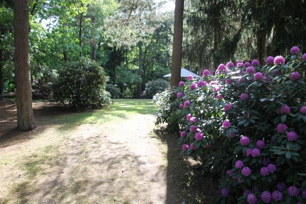 Ferienhaus Am Waldesrand Hatten Bagian luar foto