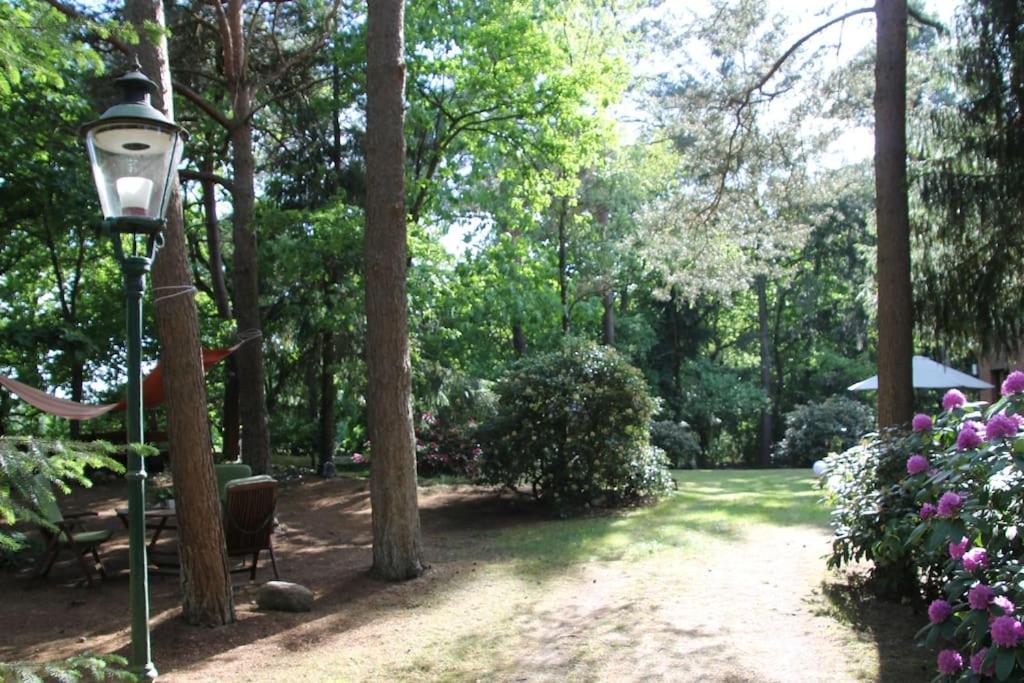 Ferienhaus Am Waldesrand Hatten Bagian luar foto