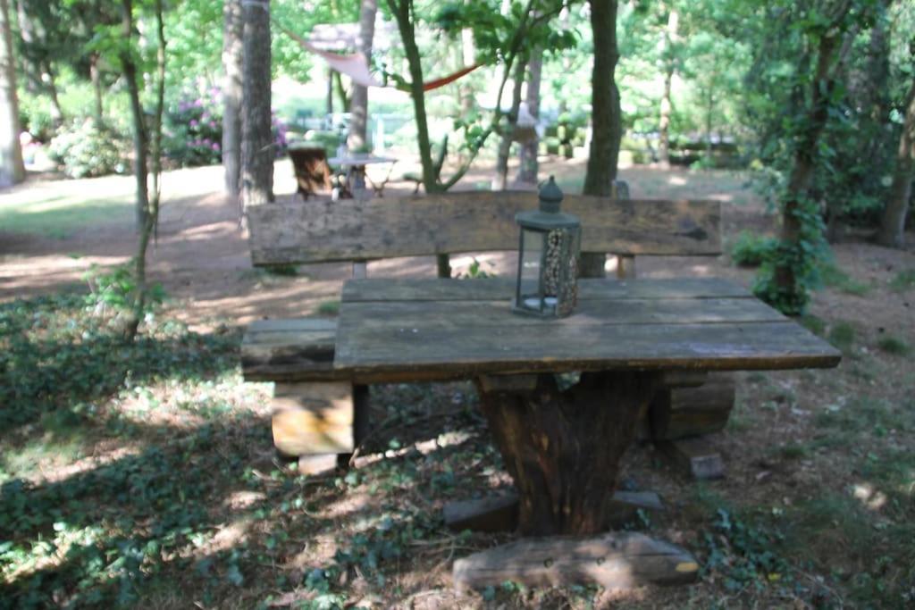 Ferienhaus Am Waldesrand Hatten Bagian luar foto