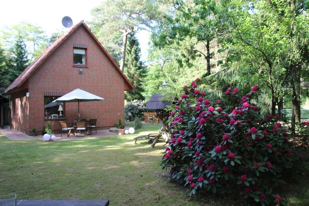 Ferienhaus Am Waldesrand Hatten Bagian luar foto